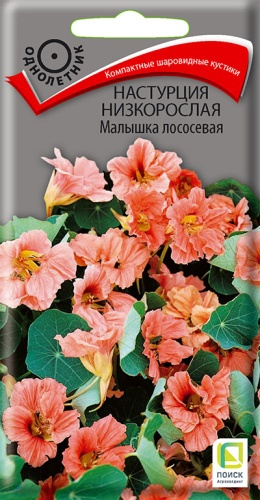 Цветы Настурция Малышка лососевая 1 г ц/п Поиск (однол.)