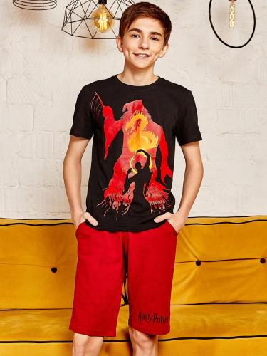 Комплект фуфайка (футболка), шорты муж Crazy Getup by Juno 