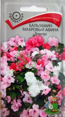 Цветы Бальзамин Махровый Афина Деметра (5 шт) Поиск