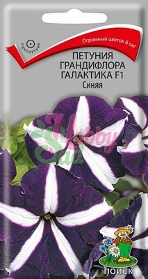 Цветы Петуния Галактика Синяя F1 грандифлора (10 шт) Поиск