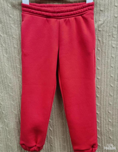 Спортивные штаны СШ-3943-6 Red bear