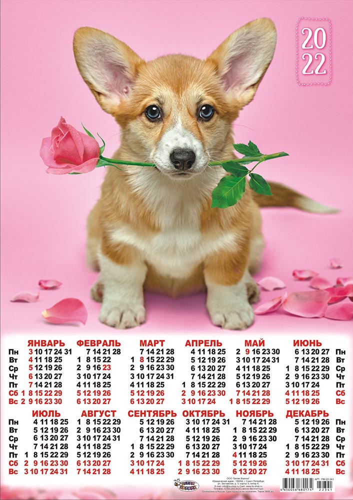 Календарь на 2023 год. Календарь собака. Календарь со шпицем на 2022 год. Собачки календарь. Календарь 2023.