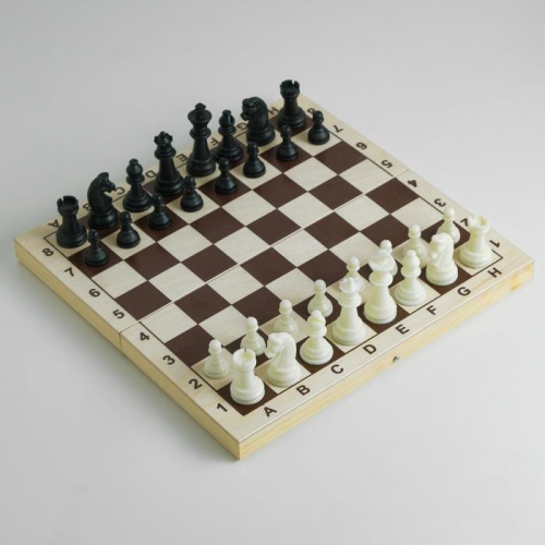 Шахматы обиходные 29х29 см, фигуры пластик, король h=6.2 см, пешка 3 см