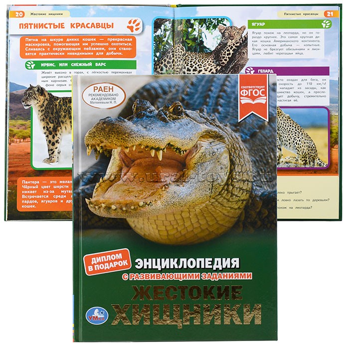 Жестокие хищники (энциклопедия А4 с развивающими заданиями)
