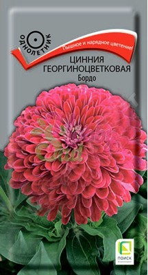 Цветы Цинния Бордо георгиноцветковая (0,4 г) Поиск