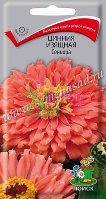 Цветы Цинния Сеньора изящная (0,4 г) Поиск