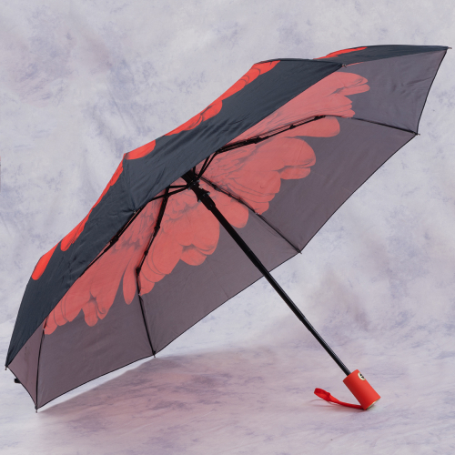 зонт 28.2048-04