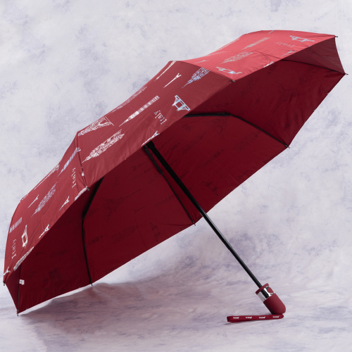 зонт 28.V2016-06