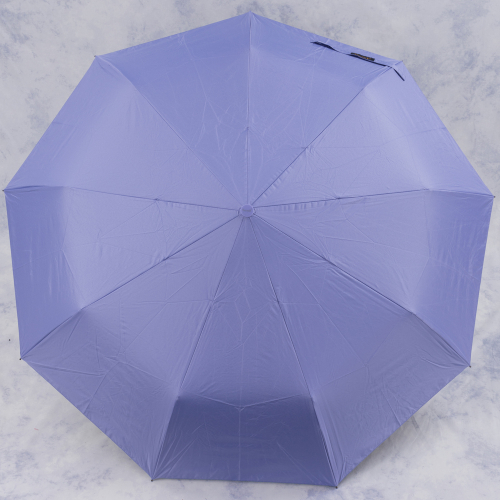 зонт 28.2024-03