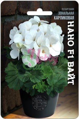 Цветы Пеларгония Нано F1 Вайт зональная карликовая (5 шт) Биотехника