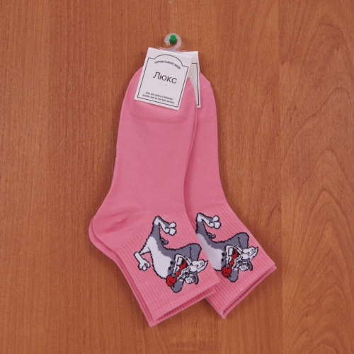 Носки Lux Socks р-р 36-41 (2 пары) арт a003-45
