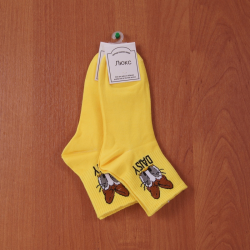 Носки Lux Socks р-р 36-41 (2 пары) арт a003-27