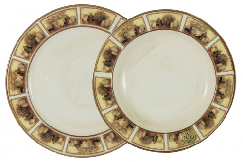 Набор тарелок Натюрморт: суповая 23,5 см и обеденная 25 см, 25252