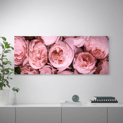 BJÖRKSTA БЬЁРКСТА, Картина с рамой, Розовый пион/цвет алюминия, 140x56 см
