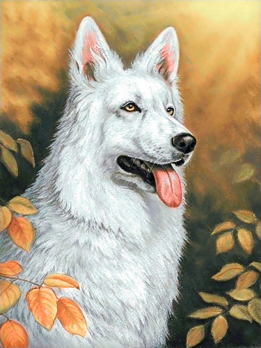 Алмазная мозаика: Белый пес Ag2678 30 на 40