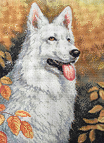 Алмазная мозаика: Белый пес Ag2678 30 на 40