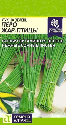 Лук Перо Жар-Птицы на зелень (0,5 гр) Семена Алтая