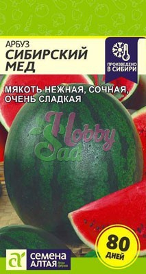 Арбуз Сибирский Мед (1 гр) Семена Алтая