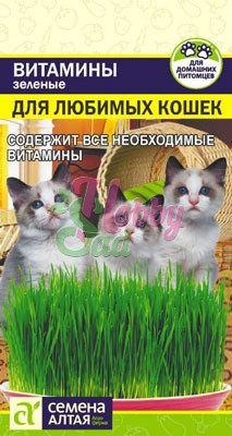 Зеленые Витамины для любимых Кошек (10 гр) Семена Алтая