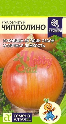 Лук Чипполино (1 гр) Семена Алтая