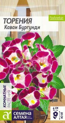 Цветы Торения Каваи Бургунди (5 шт) Семена Алтая Комнатные