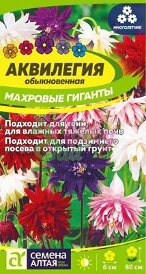 Цветы Аквилегия Махровые Гиганты смесь (0,1 г) Семена Алтая