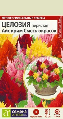 Цветы Целозия Айс Крим Смесь перистая (10 шт) Семена Алтая