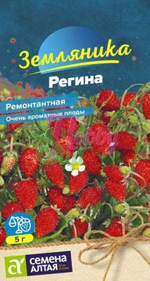 Земляника Регина ремонтантная (0,04 г) Семена Алтая