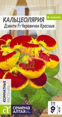 Цветы Кальцеолярия Дэинти Черевички красные (5 шт) Семена Алтая Комнатные