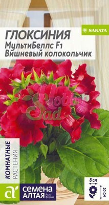 Цветы Глоксиния МультиБеллс Вишневый колокольчик F1 (5 шт) Семена Алтая Комнатные