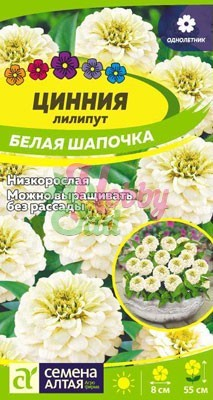 Цветы Цинния Лилипут Белая Шапочка (0,3 г) Семена Алтая