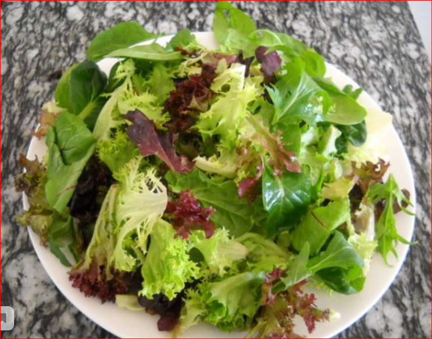 Салат какая почва. Салат Месклан. Салат из разных видов салатных листьев. Салат дуболистный. Салат фото листья салата.