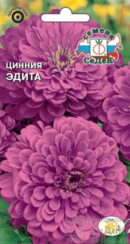 Цветы Цинния Эдита 0,5 г ц/п Седек