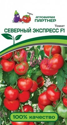 Томат Северный Экспресс F1 (2-ной пак.) (0,05 г) Партнер