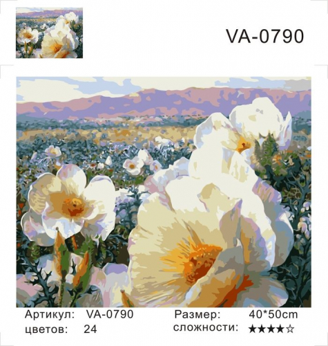 Картина по номерам 40х50 Цветы на поляне
