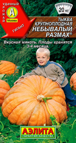 Тыква Небывалый размах 2 г ц/п Аэлита, 15-20 кг