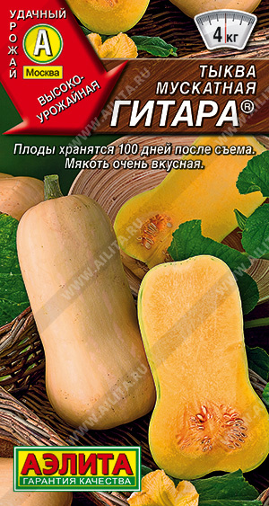 Тыква Гитара® мускатная 1 г ц/п Аэлита, 3-4 кг