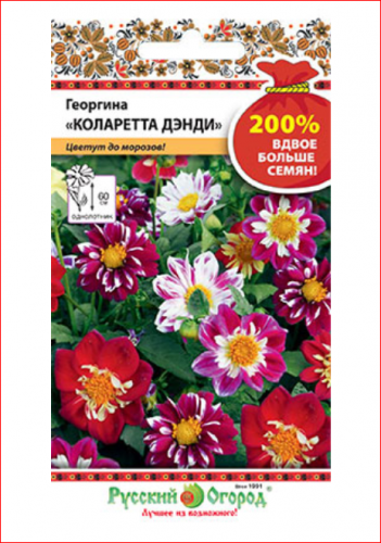 20руб.30руб.Н.ПРОСРОК – Георгина Коларетта Дэнди (смесь) 0,4г