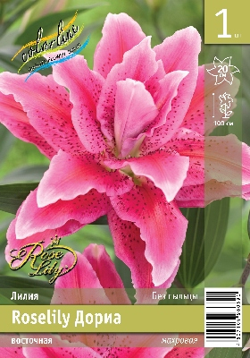 ЛИЛИЯ ROSELILY ДОРИА (В упаковке 5 шт.)