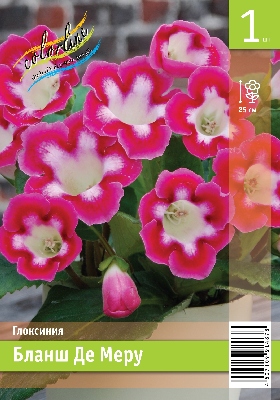 ГЛОКСИНИЯ БЛАНШ ДЕ МЕРУ ПРОМО (В упаковке 1 шт.)