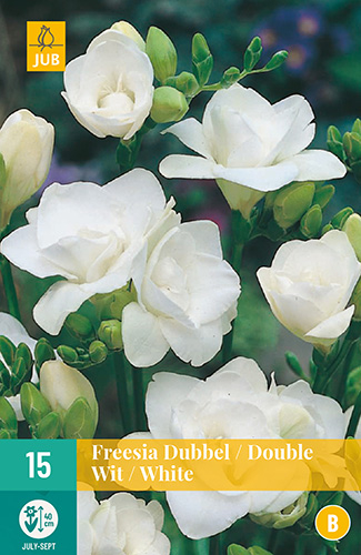 Фрезия15 DUBBEL WIT / DOUBLE WHITE размер 5/+