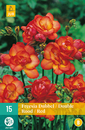 Фрезия15 DUBBEL ROOD / DOUBLE RED размер 5/+