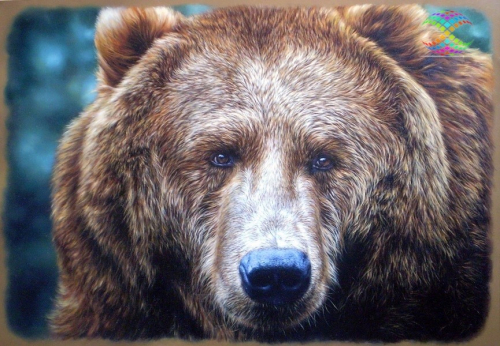 Алмазная мозаика. Бурый медведь, Сергей Кузьмин. Квадратные стразы. 35*50