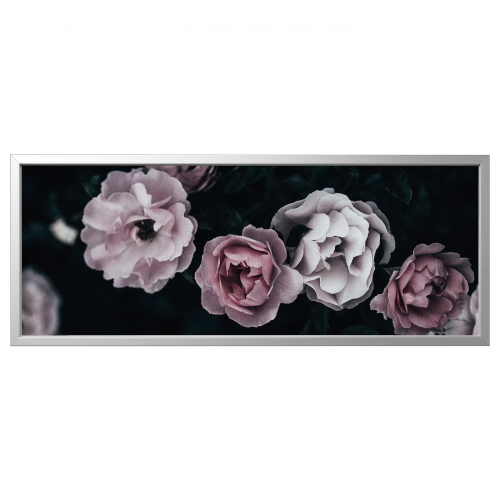 BJÖRKSTA БЬЁРКСТА, Картина с рамой, Розовые лепестки/цвет алюминия, 140x56 см