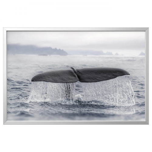 BJÖRKSTA БЬЁРКСТА, Картина с рамой, хвост кита/цвет алюминия, 118x78 см