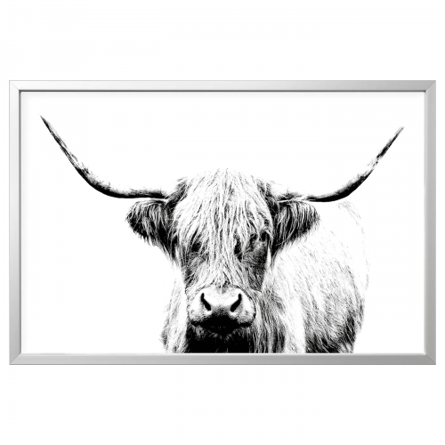 BJÖRKSTA БЬЁРКСТА, Картина с рамой, Шотландская корова/цвет алюминия, 118x78 см