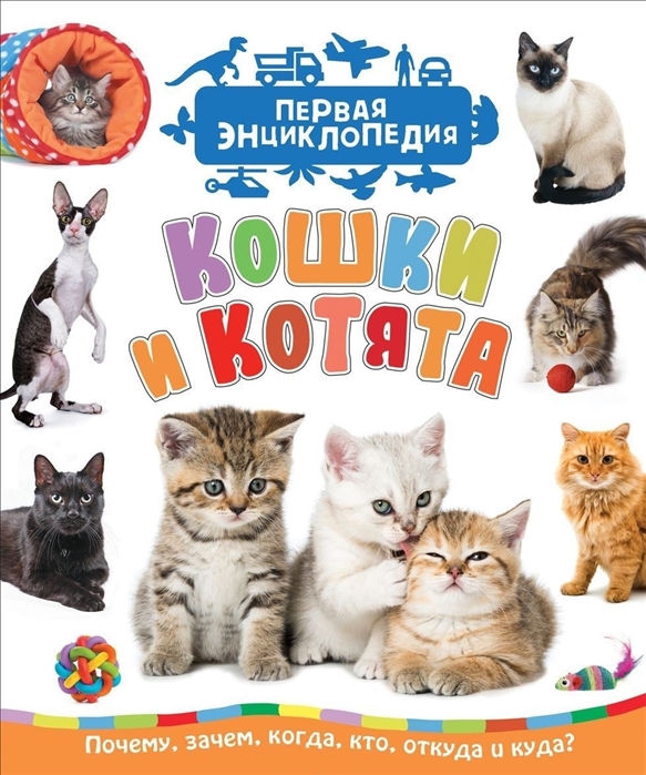 Первая энциклопедияКошки и котята