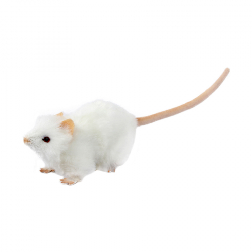 7529 Крыса белая, 19 см