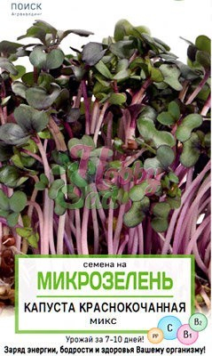 Микрозелень Капуста краснокочанная микс (5 г) Поиск