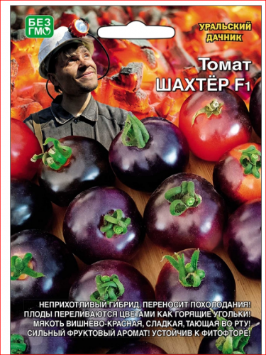 Томат Шахтер F1 - 12 сем